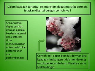 Dalam keadaan tertentu, sel meristem dapat mersifat dorman.
            Jelaskan disertai dengan contohnya !


Sel meristem
dapat bersifat
dorman apabila
keadaan internal
dan eksternal
tidak
menguntungkan
untuk melakukan
pertumbuhan
atau
                       Contoh: Biji dapat bersifat dorman jika
perkembangan
                       keadaan lingkungan tidak mendukung
                       untuk perkecambahan. Misalnya suhu
                       terlalu dingin
 