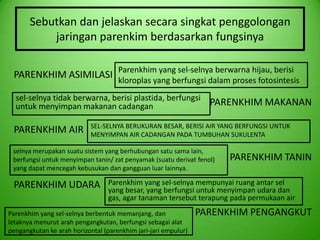 Sebutkan dan jelaskan secara singkat penggolongan
           jaringan parenkim berdasarkan fungsinya

                                     Parenkhim yang sel-selnya berwarna hijau, berisi
 PARENKHIM ASIMILASI kloroplas yang berfungsi dalam proses fotosintesis

  sel-selnya tidak berwarna, berisi plastida, berfungsi
  untuk menyimpan makanan cadangan                                PARENKHIM MAKANAN

                            SEL-SELNYA BERUKURAN BESAR, BERISI AIR YANG BERFUNGSI UNTUK
 PARENKHIM AIR              MENYIMPAN AIR CADANGAN PADA TUMBUHAN SUKULENTA

 selnya merupakan suatu sistem yang berhubungan satu sama lain,
 berfungsi untuk menyimpan tanin/ zat penyamak (suatu derivat fenol)   PARENKHIM TANIN
 yang dapat mencegah kebusukan dan gangguan luar lainnya.

 PARENKHIM UDARA                  Parenkhim yang sel-selnya mempunyai ruang antar sel
                                  yang besar, yang berfungsi untuk menyimpan udara dan
                                  gas, agar tanaman tersebut terapung pada permukaan air
Parenkhim yang sel-selnya berbentuk memanjang, dan              PARENKHIM PENGANGKUT
letaknya menurut arah pengangkutan, berfungsi sebagai alat
pengangkutan ke arah horizontal (parenkhim jari-jari empulur)
 