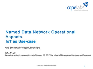 1
COPELABS, rute.sofia@ulusofona.pt
Named Data Network Operational
Aspects
IoT as Use-case
Rute Sofia (rute.sofia@ulusofona.pt)
2017.11.28
Sabbatical project in cooperation with Siemens AG CT, TUM (Chair of Network Architectures and Services)
 