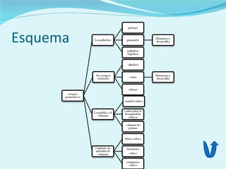 Esquema
 