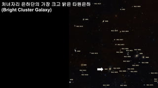 처녀자리 은하단의 가장 크고 밝은 타원은하
(Bright Cluster Galaxy)
 