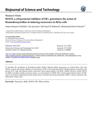 Biojournal of Science and TechnologyBiojournal of Science and TechnologyBiojournal of Science and TechnologyBiojournal of Science and Technology
Research Article
D4476, a cell-permeant inhibitor of CK1, potentiates the action of
Bromodeoxyuridine in inducing senescence in HeLa cells
Sattya Narayan Talukdar1
, Dai Ayusawa
1. Department of Biochemistry, Primeasia University, Banani, Bangladesh
2 Department of Genome System Science, Graduate School of Nanobioscience, Yokohama City University, Japan
*Corresponding author
Dr. Mohammad Nazir Hossain
School of Science, Primeasia University, Banani, Bangladesh
E-mail: nazir.hossain@primeasia.edu.bd
Published: 26-01-2015
Biojournal of Science and Technology Vol.1:2014
Academic Editor: Dr. Shahdat Hossain
This is an Open Access article distributed under the terms of the
(http://creativecommons.org/licenses/by/4.0
medium, provided the original work is properl
Abstract
To elucidate the mechanism of bromodeoxyuridine (BrdU) induced cellular senescence, we treated HeLa cells with
D4476, a potent and specific inhibitor of casein kinase 1(CK1). We found that D4476 (10µM) treatment could arrest cell
growth at G1 stage and induced cellular senescence when treated together with BrdU (10µM). However neither D4476
nor BrdU can induce cellular senescence alone, at a concent
may be involved in maintaining normal cellular process and their inactivation potentiates BrdU to induce senescence like
phenomena in HeLa cells.
Keywords: Senescence, BrdU, D4476, CK1, HeLa cell line
Biojournal of Science and TechnologyBiojournal of Science and TechnologyBiojournal of Science and TechnologyBiojournal of Science and Technology
permeant inhibitor of CK1, potentiates the action of
Bromodeoxyuridine in inducing senescence in HeLa cells
, Dai Ayusawa2
, Md. Rasel Al Mahmud1
, Mohammad Nazir Hossain
Department of Biochemistry, Primeasia University, Banani, Bangladesh
Department of Genome System Science, Graduate School of Nanobioscience, Yokohama City University, Japan
School of Science, Primeasia University, Banani, Bangladesh
Received: 12-11-2014
1:2014 Accepted: 29-12-2014
Article no: m140006
This is an Open Access article distributed under the terms of the Creative Commons Attribution License
http://creativecommons.org/licenses/by/4.0 ), which permits unrestricted use, distribution, and reproduction in any
medium, provided the original work is properly cited.
To elucidate the mechanism of bromodeoxyuridine (BrdU) induced cellular senescence, we treated HeLa cells with
tor of casein kinase 1(CK1). We found that D4476 (10µM) treatment could arrest cell
growth at G1 stage and induced cellular senescence when treated together with BrdU (10µM). However neither D4476
nor BrdU can induce cellular senescence alone, at a concentration of 10µM. These results suggest that the targets of CK1
may be involved in maintaining normal cellular process and their inactivation potentiates BrdU to induce senescence like
Senescence, BrdU, D4476, CK1, HeLa cell line
permeant inhibitor of CK1, potentiates the action of
, Mohammad Nazir Hossain1
*
Department of Genome System Science, Graduate School of Nanobioscience, Yokohama City University, Japan
2014
2014
m140006
Creative Commons Attribution License
), which permits unrestricted use, distribution, and reproduction in any
To elucidate the mechanism of bromodeoxyuridine (BrdU) induced cellular senescence, we treated HeLa cells with
tor of casein kinase 1(CK1). We found that D4476 (10µM) treatment could arrest cell
growth at G1 stage and induced cellular senescence when treated together with BrdU (10µM). However neither D4476
ration of 10µM. These results suggest that the targets of CK1
may be involved in maintaining normal cellular process and their inactivation potentiates BrdU to induce senescence like
 