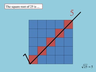 5 The square root of 25 is ... 