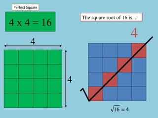 4 x 4 = 16 4 4 Perfect Square 4 The square root of 16 is ... 