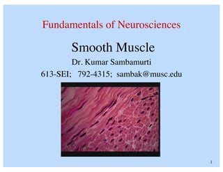 1	

Fundamentals of Neurosciences	

Smooth Muscle	

Dr. Kumar Sambamurti	

613-SEI; 792-4315; sambak@musc.edu	

 