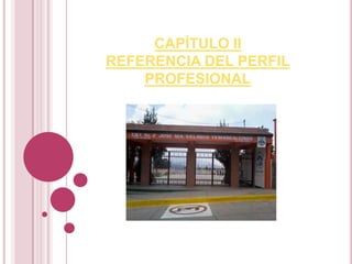 CAPÍTULO II
REFERENCIA DEL PERFIL
PROFESIONAL
 