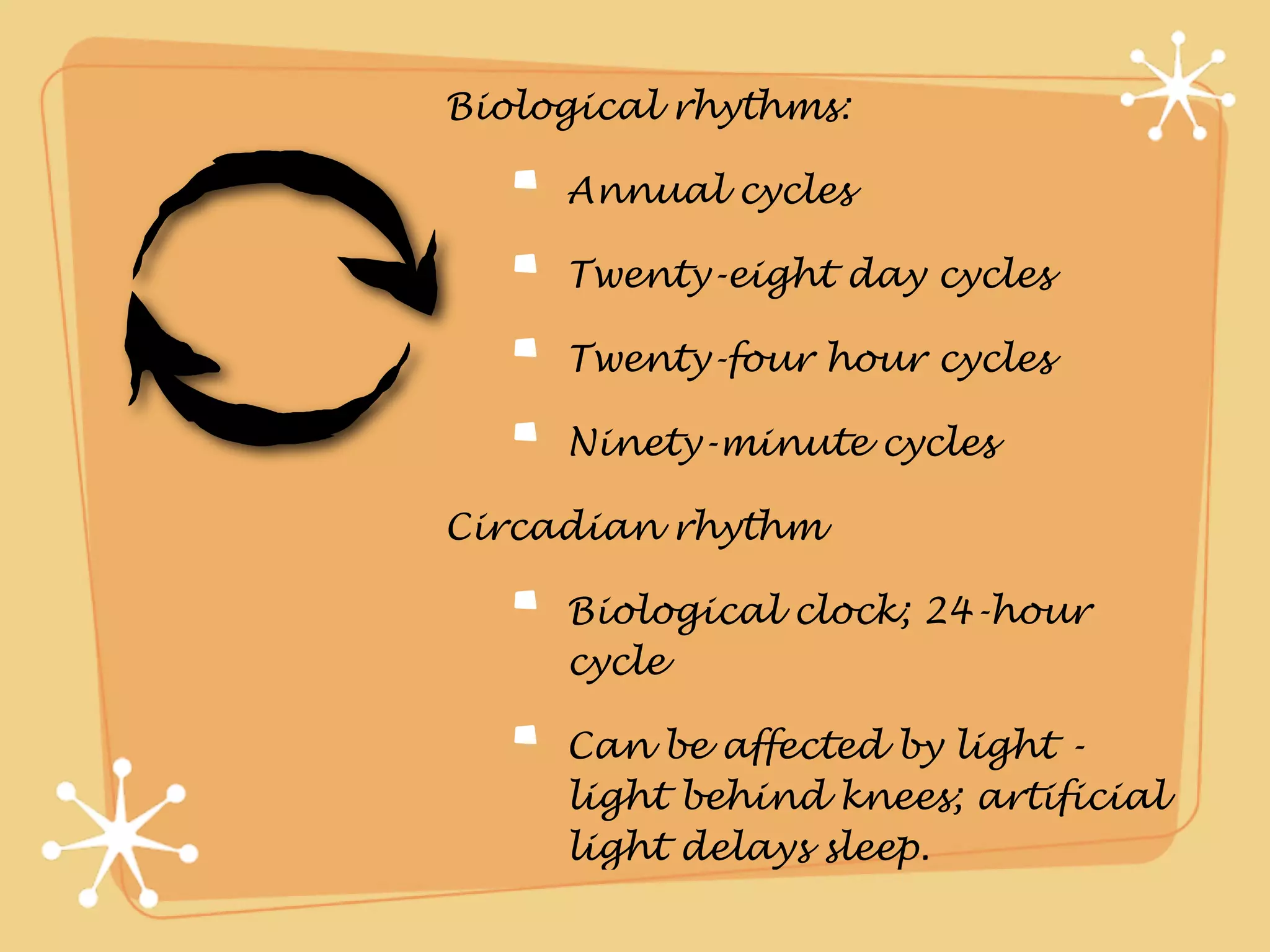 Biological rhythms:

     Annual cycles

     Twenty-eight day cycles

     Twenty-four hour cycles

     Ninety-minute cycles

Circadian rhythm

     Biological clock; 24-hour
     cycle

     Can be affected by light -
     light behind knees; artificial
     light delays sleep.
 