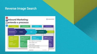 Reverse Image Search
 