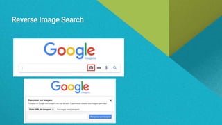 Reverse Image Search
 