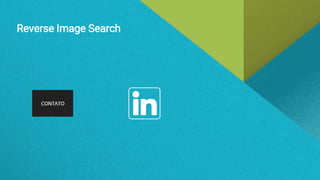 Reverse Image Search
 