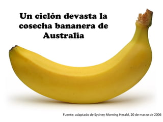 Un ciclón devasta la
cosecha bananera de
     Australia




         Fuente: adaptado de Sydney Morning Herald, 20 de marzo de 2006
 