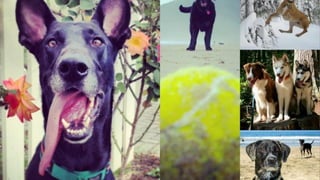 Content to the Rescue - Garrett Hampton