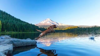 Content to the Rescue - Garrett Hampton