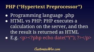 WooCommerce: Customization Definitions | PDF