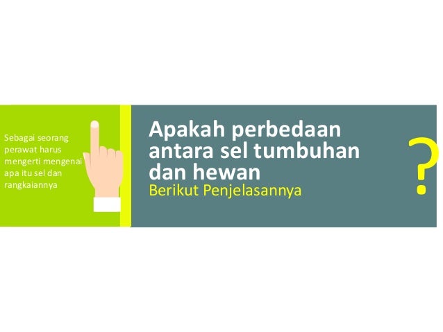 M1 kb2 biologi sel