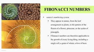 M1L1 Fibonacci Numbers and the Golden Ratio.pdf