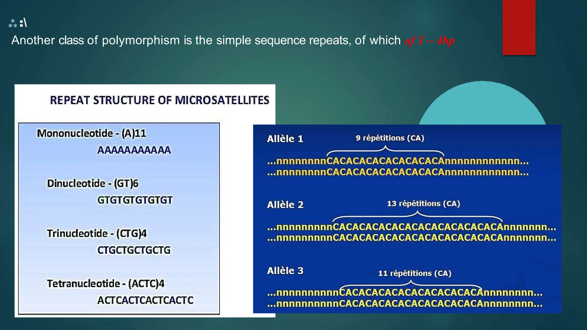 Introduction to polymorphism and its types ppt