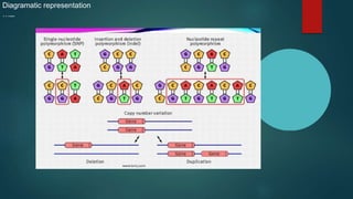 Diagramatic representation
…....
 