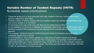 Variable Number of Tandem Repeats (VNTR)
Nucleotide repeat polymorphism
• These are arrays of 2 or more base pair core units, located in the non- coding region of the
genome, adjacent to each other.
• Variable number of tandem repeats refer to a condition where the number of nucleotides in the
core unit is variable or is not known.
• On the basis of the size of the core unit, they can be categorized as either
• a) mini-satellites (10-60 bp) is a collection of moderately sized arrays, usually 10-60 base pairs of
tandemly repeated DNA sequences that are dispersed over considerable portions of the nuclear
genome.
• For example: GATACCCCAAAG GATACCCCAAAG GATACCCCAAAG is an array of 12
nucleotide repeats from 3-20 kbp.
• b) microsatellites or short tandem repeats is a small array of tandem repeats of a simple
nucleotide sequence which is usually less than 10 base pairs. For example, GATA GATA GATA
GATA GATA GATA has 4 bases repeated 6 times. TA TA TA TA TA TA is a dinucleotide repeat and
TAT TAT TAT TAT TAT is a trinucleotide repeat. The STRs were first used in the Persian Gulf War
in 1991 for identification of human remains.
 