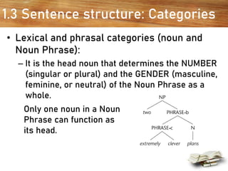 1.3 Sentence structure: Categories
• Lexical and phrasal categories (noun and
Noun Phrase):
– It is the head noun that determines the NUMBER
(singular or plural) and the GENDER (masculine,
feminine, or neutral) of the Noun Phrase as a
whole.
Only one noun in a Noun
Phrase can function as
its head.
 