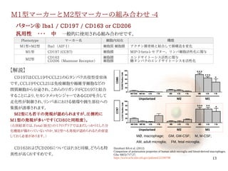 13
M1型マーカーとM2型マーカーの組み合わせ -4
　　
パターン④ Iba1 / CD197 / CD163 or CD206
汎用性　・・・　中　一般的に使用される組み合わせです。
Phenotype マーカー名 細胞内局在 機能
M1型+M2型 Iba1（AIF-1） 細胞質 細胞膜 アクチン膜骨格と結合して膜構造を変化
M1型 CD197 (CCR7) 細胞膜 MIP-3-betaレセプター，リンパ細胞活性化に関与
M2型
CD163
CD206（Mannose Receptor）
細胞膜
細胞膜
エンドサイトーシス活性に関与
糖タンパクのエンドサイトーシスを活性化
【解説】
　CD197はCCL19やCCL21のGタンパク共役型受容体
です。CCL19やCCL21は免疫細胞や線維芽細胞などの
間質細胞から分泌され、これらのリガンドがCD197と結合
することにより、セカンドメッセンジャーであるGDPを介して
走化性が制御され、リンパ系における循環や圓生部位への
集簇が誘導されます。
　M2型にも若干の発現が認められますが、圧倒的に
M1型の発現が多いです（CD80と同程度）。
（右図結果では、Fetal（胎児）のミクログリアではまだしっかりとした分
化機能が備わっていないのか、M2型へも発現が認められるため留意
しておく必要があります。）
　CD163およびCD206についてはP．9と同様、どちらも特
異性が高くおすすめです。
Durafourt BA et al. (2012)
Comparison of polarization properties of human adult microglia and blood-derived macrophages.
Glia. 60(5):717-27.
https://www.ncbi.nlm.nih.gov/pubmed/22290798
MØ, macrophage; 　GM, GM-CSF; 　M, M-CSF;
AM, adult microglia; 　FM, fetal microglia.
伊純 明寛
 