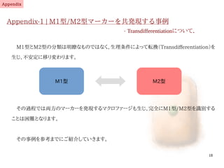 18
Appendix-1 | M1型/M2型マーカーを共発現する事例
- Transdifferentiationについて．
　M1型とM2型の分類は明瞭なものではなく、生理条件によって転換（Transdifferentiation）を
生じ、不安定に移り変わります。
Appendix
M1型 M2型
　その過程では両方のマーカーを発現するマクロファージも生じ、完全にM1型/M2型を識別する
ことは困難となります。
　その事例を参考までにご紹介していきます。
伊純 明寛
 