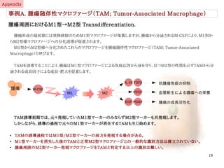 19
事例A. 腫瘍随伴性マクロファージ（TAM; Tumor-Associated Macrophage）
　腫瘍形成の最初期には異物排除のためM1型マクロファージが集簇しますが、腫瘍から分泌されるM-CSFにより、M1型か
らM2型様マクロファージへの分化誘導が促進されます。
　M1型からM2型様へ分化されたこれらのマクロファージを腫瘍随伴性マクロファージ（TAM; Tumor-Associated
Macrophage）と呼びます。
　TAMを誘導することにより、腫瘍はM1型マクロファージによる免疫応答から身を守り、且つM2型の性質を示すTAMから分
泌される成長因子による成長・肥大を促進します。
腫瘍周囲におけるM1型→M2型 Transdifferentiation.
Appendix
M-CSF腫瘍
M1 M2
IL-10 TGFβ
VEGF
EGF PDGF
抗腫瘍免疫の抑制
血管新生による腫瘍への栄養
腫瘍の成長活性化
　TAM誘導初期では、元々発現していたM1型マーカーのみならずM2型マーカーも共発現します。
　しかしながら、誘導の過程で元々のM1型マーカーが消失するTAMも生じ始めます。
●
TAMの誘導過程ではM1型/M2型マーカーの両方を発現する場合がある。
●
M1型マーカーを消失した後のTAMと正常M2型マクロファージとの一般的な識別方法は確立されていない。
●
腫瘍周囲のM2型マーカー発現マクロファージをTAMと判定する以上の識別は難しい。
伊純 明寛
 