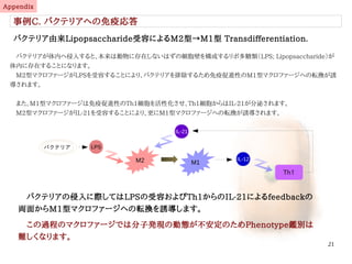 21
Appendix
事例C. バクテリアへの免疫応答
バクテリア由来Lipopsaccharide受容によるM2型→M1型 Transdifferentiation.
　バクテリアが体内へ侵入すると、本来は動物に存在しないはずの細胞壁を構成するリポ多糖類（LPS; Lipopsaccharide）が
体内に存在することになります。
　M2型マクロファージがLPSを受容することにより、バクテリアを排除するため免疫促進性のM1型マクロファージへの転換が誘
導されます。
　また、M1型マクロファージは免疫促進性のTh1細胞を活性化させ、Th1細胞からはIL-21が分泌されます。
　M2型マクロファージがIL-21を受容することにより、更にM1型マクロファージへの転換が誘導されます。
LPS
M2 M1
バクテリア
IL-12
Th1
IL-21
　バクテリアの侵入に際してはLPSの受容およびTh1からのIL-21によるfeedbackの
両面からM1型マクロファージへの転換を誘導します。
　この過程のマクロファージでは分子発現の動態が不安定のためPhenotype鑑別は
難しくなります。
伊純 明寛
 
