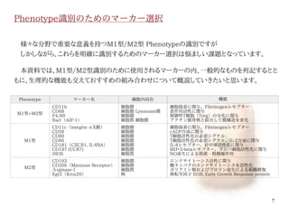 7
Phenotype識別のためのマーカー選択
　様々な分野で重要な意義を持つM1型/M2型 Phenotypeの識別ですが
　しかしながら、これらを明確に識別するためのマーカー選択は悩ましい課題となっています。
　本資料では、M1型/M2型識別のために使用されるマーカーの内、一般的なものを列記するとと
もに、生理的な機能も交えておすすめの組み合わせについて概説していきたいと思います。
Phenotype マーカー名 細胞内局在 機能
M1型+M2型
CD11b
CD68
F4/80
Iba1（AIF-1）
細胞膜
細胞膜 Lysosome膜
細胞膜
細胞質 細胞膜
細胞接着に関与，Fibrinogenレセプター
食作用活性に関与
制御性T細胞（Treg）の分化に関与
アクチン膜骨格と結合して膜構造を変化
M1型
CD11c（integrin αX鎖）
CD38
CD80
CD86
CD181（CXCR1, IL-8RA）
CD197 (CCR7)
iNOS
細胞膜
細胞膜
細胞膜
細胞膜
細胞膜
細胞膜
細胞質
細胞接着に関与，Fibrinogenレセプター
cADP合成に関与
T細胞活性化の必須シグナル
T細胞活性化の必須シグナル，IL-2分泌に関与
IL-8レセプター，好中球活性化に関与
MIP-3-betaレセプター，リンパ細胞活性化に関与
NO産生による殺菌・殺腫瘍作用
M2型
CD163
CD206（Mannose Receptor）
Αrginase-1
Egr2（Krox20）
細胞膜
細胞膜
細胞質
核
エンドサイトーシス活性に関与
糖タンパクのエンドサイトーシスを活性化
ポリアミン類およびプロリン産生による組織修復
核転写因子 EGR; Early Growth Response protein
伊純 明寛
 