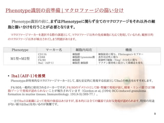 8
Phenotype識別の前準備 | マクロファージの篩い分け
　Phenotype識別の前に、まずはPhenotypeに関らず全てのマクロファージをそれ以外の細
胞と篩い分けを行うことが必要となります。
　マクロファージマーカーを選択する際の課題として、マクロファージ以外の免疫細胞にも広く発現しているため、観察目的
のマクロファージ以外が検出されてしまう問題があります。
●
Iba1（AIF-1）を推奨
　Phenotype非特異的なマクロファージマーカーとして、最も安定的に発現する抗原としてIba1の検出をおすすめします。
　F4/80も一般的に使用されるマーカーですが、F4/80のデメリットとして肺・腎臓で発現が弱く、精巣・リンパ節ではT細
胞ゾーンで発現が認められないことが報告されています（Gordon et al, (1994) BCG-induced granuloma
formation in murine tissues. Immunobiology. 191(4-5):369-77.）。
　一方でIba1は組織によって発現の強弱はありますが、基本的には全ての臓器で良好な発現が認められます。特別の用途
がない限りはIba1を用いるのが無難です。
Phenotype マーカー名 細胞内局在 機能
M1型+M2型
CD11b
CD68
F4/80
Iba1（AIF-1）
細胞膜
細胞膜 Lysosome膜
細胞膜
細胞質 細胞膜
細胞接着に関与，Fibrinogenレセプター
食作用活性に関与
制御性T細胞（Treg）の分化に関与
アクチン膜骨格と結合して膜構造を変化
伊純 明寛
 