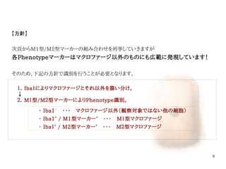 9
【方針】
次頁からM1型/M2型マーカーの組み合わせを列挙していきますが
各Phenotypeマーカーはマクロファージ以外のものにも広範に発現しています！
そのため、下記の方針で識別を行うことが必要となります。
・ Iba1−
　・・・　マクロファージ以外（観察対象ではない他の細胞）
・ Iba1＋
/ M1型マーカー＋
　・・・　M１型マクロファージ
・ Iba１＋
/ M2型マーカー＋
　・・・　M２型マクロファージ
１． Iba１によりマクロファージとそれ以外を篩い分け。
↓
２． M１型/M２型マーカーによりPhenotype識別。
伊純 明寛
 