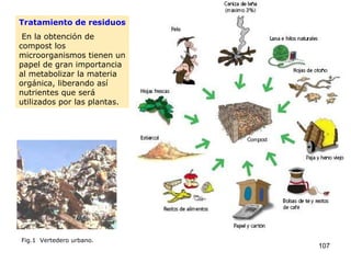 Tratamiento de residuos En la obtención de compost los microorganismos tienen un papel de gran importancia al metabolizar la materia orgánica, liberando así nutrientes que será utilizados por las plantas. Fig.1  Vertedero urbano. 