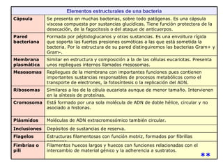 ** Estructuras filamentosas con función motriz, formados por fibrillas proteicas. Flagelos Depósitos de sustancias de reserva. Inclusiones Moléculas de ADN extracromosómico también circular. Plásmidos Filamentos huecos largos y huecos con funciones relacionadas con el intercambio de material génico y la adherencia a sustratos. Fimbrias o pili Está formado por una sola molécula de ADN de doble hélice, circular y no asociado a histonas. Cromosoma   Similares a los de la célula eucariota aunque de menor tamaño. Intervienen en la síntesis de proteínas. Ribosomas Repliegues de la membrana con importantes funciones pues contienen importantes sustancias responsables de procesos metabólicos como el transporte de electrones, la fotosíntesis o la replicación del ADN. Mesosomas Similar en estructura y composición a la de las células eucariotas. Presenta unos repliegues internos llamados mesosomas. Membrana plasmática Formada por péptidoglucanos y otras sustancias. Es una envoltura rígida que soporta las fuertes presiones osmóticas a las que está sometida la bacteria. Por la estructura de su pared distinguiremos las bacterias Gram+ y Gram-. Pared bacteriana Se presenta en muchas bacterias, sobre todo patógenas. Es una cápsula viscosa compuesta por sustancias glucídicas. Tiene función protectora de la desecación, de la fagocitosis o del ataque de anticuerpos. Cápsula Elementos estructurales de una bacteria 