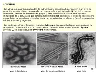 Virus de la influenza  Virus del mosaico del tabaco  Virus ébola LOS VIRUS Los virus son organismos dotados de extraordinaria simplicidad, pertenecen a un nivel de organización subcelular, y marcan la barrera entre lo vivo y lo inerte. No se nutren, no se relacionan, carecen de metabolismo propio y para reproducirse utilizan la maquinaria metabólica de la célula a la que parasitan; su simplicidad estructural y funcional los convierte en parásitos intracelulares obligados, tanto de bacterias (bacteriófagos o fagos), como de las células animales y vegetales. Las partículas víricas, llamadas  también  viriones , están constituidas por una molécula de ADN o ARN, nunca los dos en un mismo virus, contenida en el interior de una  cápsula  proteica y, en ocasiones, una  envoltura  membranosa. 