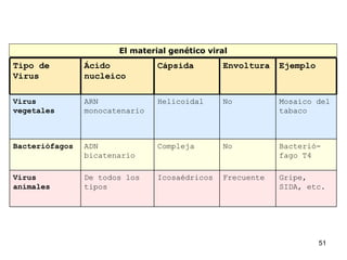 El material genético viral Gripe, SIDA, etc. Frecuente Icosaédricos De todos los tipos Virus animales Bacterió-fago T4 No Compleja ADN bicatenario Bacteriófagos Mosaico del tabaco No Helicoidal ARN monocatenario Virus vegetales Ejemplo Envoltura Cápsida Ácido nucleico Tipo de Virus 