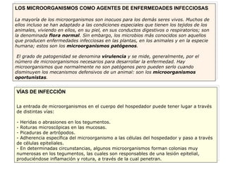 LOS MICROORGANISMOS COMO AGENTES DE ENFERMEDADES INFECCIOSAS La mayoría de los microorganismos son inocuos para los demás seres vivos. Muchos de ellos incluso se han adaptado a las condiciones especiales que tienen los tejidos de los animales, viviendo en ellos, en su piel, en sus conductos digestivos o respiratorios; son la denominada  flora normal . Sin embargo, los microbios más conocidos son aquellos que producen enfermedades infecciosas en las plantas, en los animales y en la especie humana; estos son los  microorganismos patógenos .  El grado de patogenidad se denomina  virulencia  y se mide, generalmente, por el número de microorganismos necesarios para desarrollar la enfermedad. Hay microorganismos que normalmente no son patógenos pero pueden serlo cuando disminuyen los mecanismos defensivos de un animal: son los  microorganismos oportunistas . VÍAS DE INFECCIÓN La entrada de microorganismos en el cuerpo del hospedador puede tener lugar a través de distintas vías:  - Heridas o abrasiones en los tegumentos. - Roturas microscópicas en las mucosas. - Picaduras de artrópodos. - Adherencia específica del microorganismo a las células del hospedador y paso a través de células epiteliales. - En determinadas circunstancias, algunos microorganismos forman colonias muy numerosas en los tegumentos, las cuales son responsables de una lesión epitelial, produciéndose inflamación y rotura, a través de la cual penetran. 