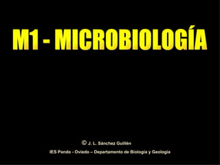 M1 - MICROBIOLOGÍA IES Pando - Oviedo – Departamento de Biología y Geología ©  J. L. Sánchez Guillén 