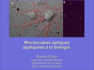 Microscopies optiques appliquées à la biologie  Maxime Dahan Laboratoire Kastler Brossel Département de physique Ecole normale supérieure 