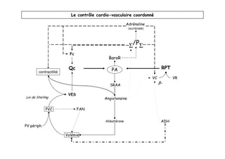 Le contrôle cardio-vasculaire coordonné

                                                        Adrénaline
                                                         (surrénale)




                                                         Σ/PΣ
                          Fc
                                           BaroR

                         Qc                  PA                              RPT
        contractilité
                                                                       VC          VR
                                                                            β-
                                            SRAA

                         VES
Loi de Starling                          Angiotensine

             PVC               FAN


                                          Aldostérone                        ADH
PV périph.

                        Volémie
 
