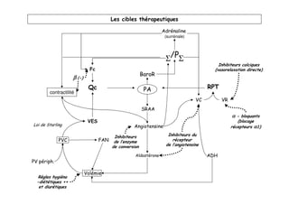 Les cibles thérapeutiques

                                                                Adrénaline
                                                                 (surrénale)




                                                                 Σ/PΣ
                                                                                         Inhibiteurs calciques
                              Fc                                                       (vasorelaxation directe)
                                                       BaroR
                    β (-)
                             Qc                         PA                           RPT
        contractilité
                                                                                VC         VR
                                                       SRAA
                                                                                                α - bloquants
                             VES                                                                   (blocage
Loi de Starling                                   Angiotensine                                  récepteurs α1)

                                        Inhibiteurs               Inhibiteurs du
             PVC                   FAN de l’enzyme                  récepteur
                                       de conversion             de l’angiotensine

                                                  Aldostérone                        ADH
PV périph.

                            Volémie
  Règles hygiéno
  -diététiques ++
   et diurétiques
 