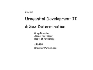 2-6-03
Urogenital Development II
& Sex Determination
Greg Dressler
Assoc. Professor
Dept. of Pathology
x46490
Dressler@umich.edu
 