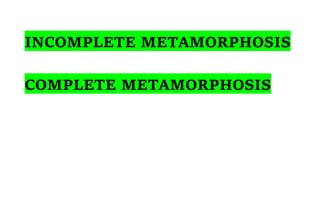 INCOMPLETE METAMORPHOSIS
COMPLETE METAMORPHOSIS
 