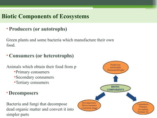Biotic Components of Ecosystems
• Producers (or autotrophs)
Green plants and some bacteria which manufacture their own
food.
• Consumers (or heterotrophs)
Animals which obtain their food from producers
•Primary consumers
•Secondary consumers
•Tertiary consumers
• Decomposers
Bacteria and fungi that decompose
dead organic matter and convert it into
simpler parts
 
