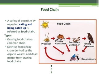 Food Chain
• A series of organism by
repeated eating and
being eaten up is
referred as food chain.
Types:
• Grazing food chain-a
common chain
• Detritus food chain-
chain derived by the
organic wastes and dead
matter from grazing
food chains
T
h
e
 