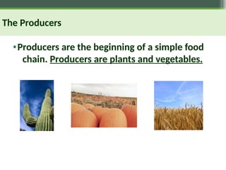 The Producers
•Producers are the beginning of a simple food
chain. Producers are plants and vegetables.
 