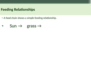 Feeding Relationships
• A food chain shows a simple feeding relationship.
• Sun → grass →
 