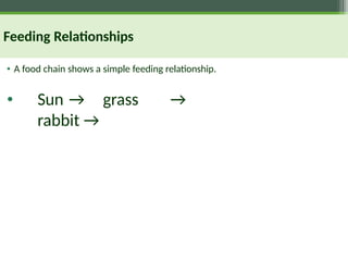 Feeding Relationships
• A food chain shows a simple feeding relationship.
• Sun → grass →
rabbit →
 