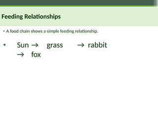Feeding Relationships
• A food chain shows a simple feeding relationship.
• Sun → grass → rabbit
→ fox
 