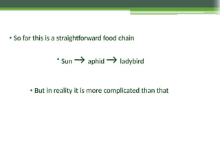 • So far this is a straightforward food chain
• Sun → aphid → ladybird
• But in reality it is more complicated than that
 