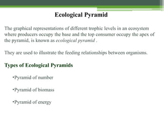 Ecological Pyramid
The graphical representations of different trophic levels in an ecosystem
where producers occupy the base and the top consumer occupy the apex of
the pyramid, is known as ecological pyramid .
They are used to illustrate the feeding relationships between organisms.
Types of Ecological Pyramids
•Pyramid of number
•Pyramid of biomass
•Pyramid of energy
 